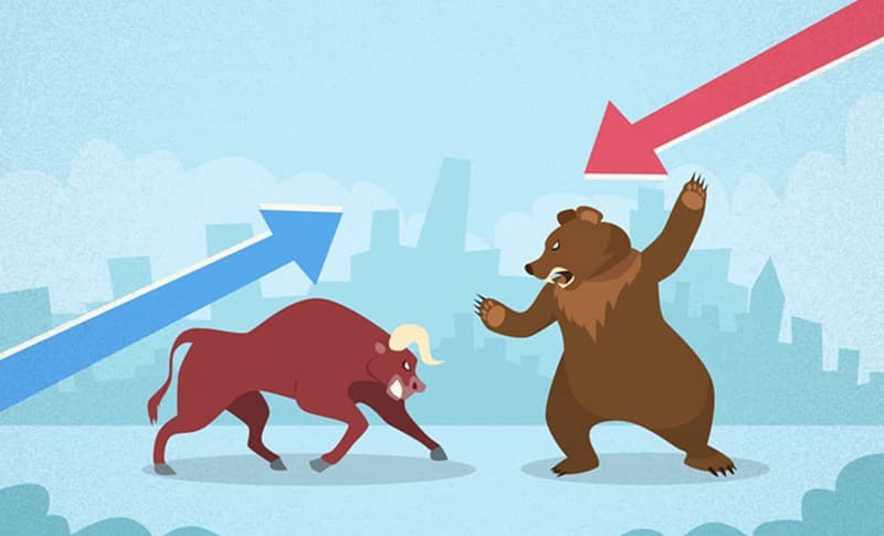 Bear market là gì? Bí kíp phòng vệ khi bị “gấu đánh”